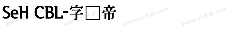 SeH CBL字体转换
